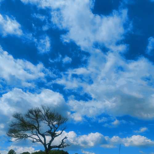 Photo #8259873