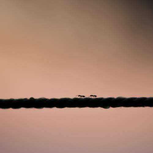 Photo #8259986