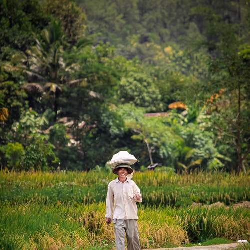 Photo #8260105