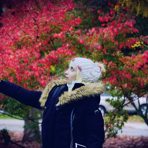 Photo #8260149