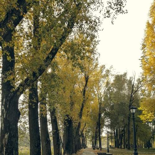 Photo #8260481