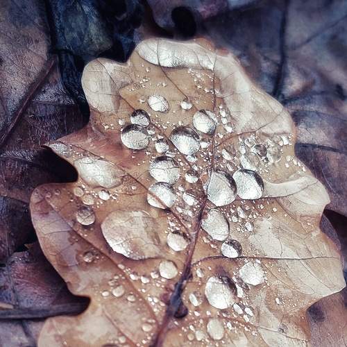 Photo #8260514