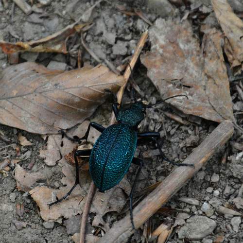 Photo #8260531