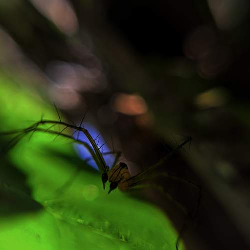 Photo #8260710