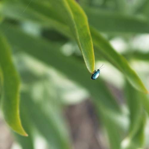 Photo #8261034