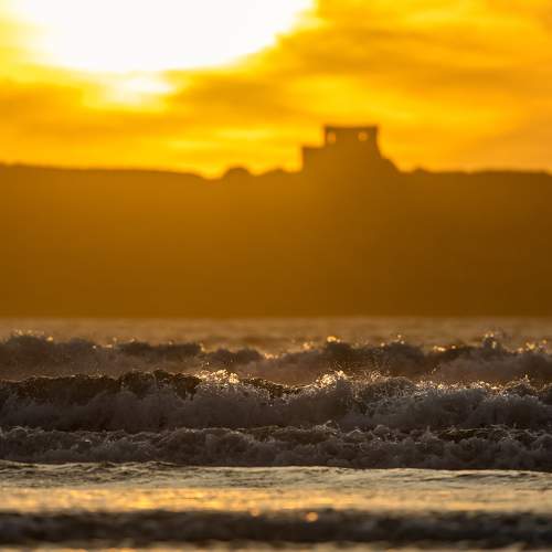 Photo #8261377