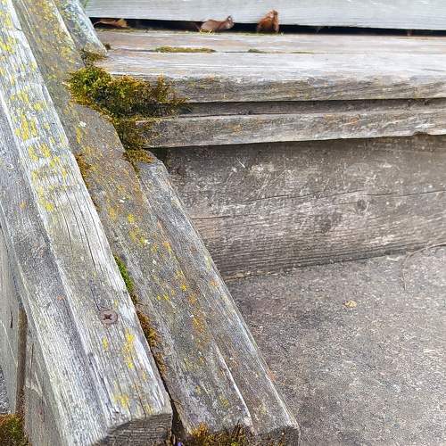 Photo #8261926