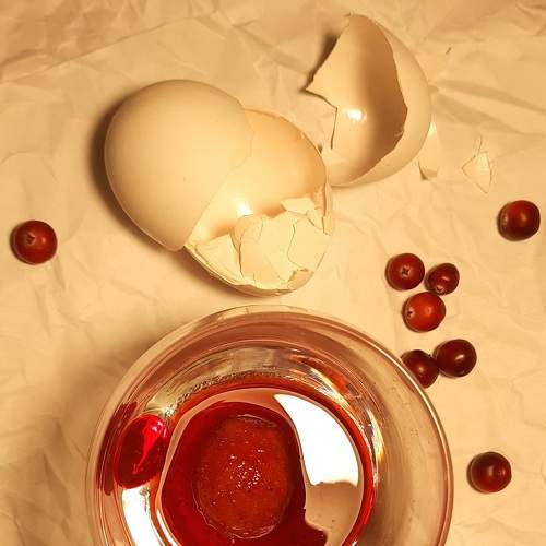 Photo #8262266