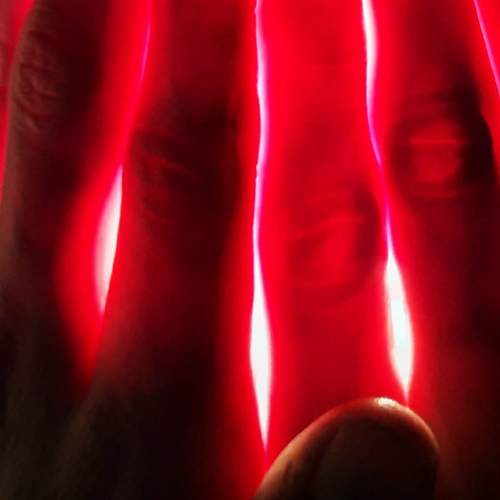 Photo #8262288