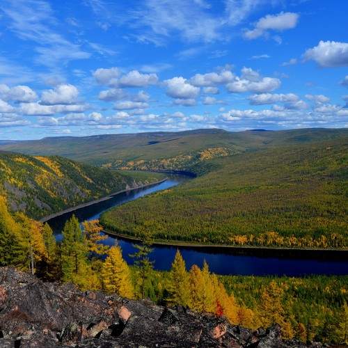Photo #8263290