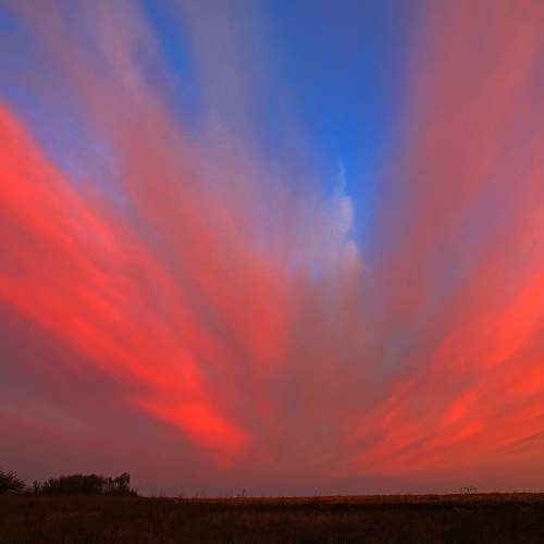 Photo #8263451