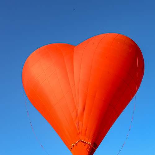 Photo #8263573