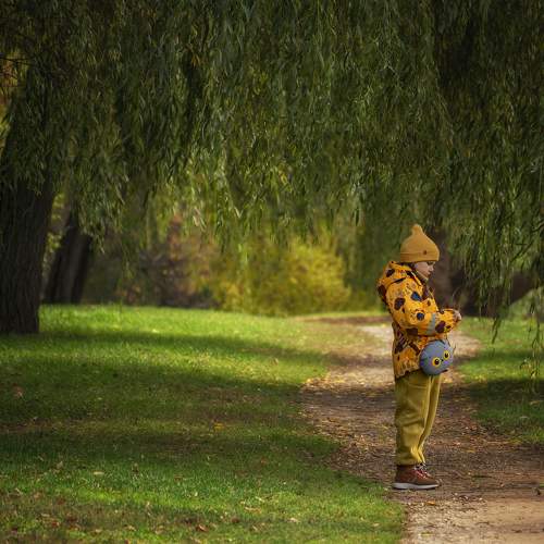 Photo #8263608