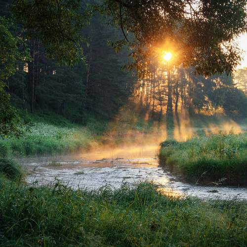 Photo #8263686