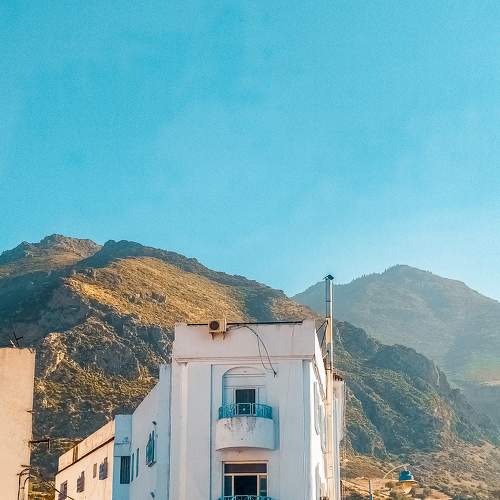 Photo #8263715