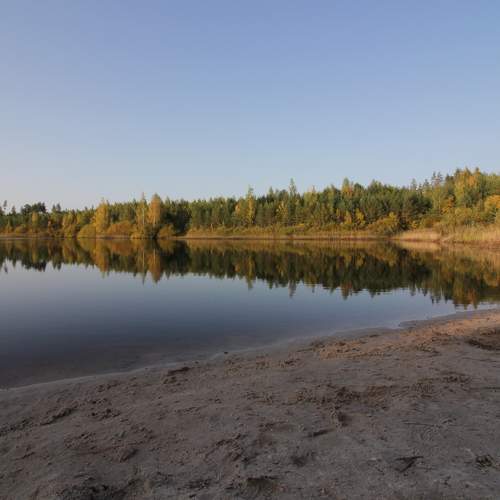Photo #8263842