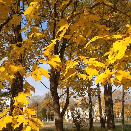 Photo #8263896