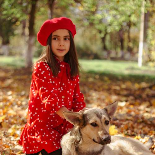 Photo #8263914