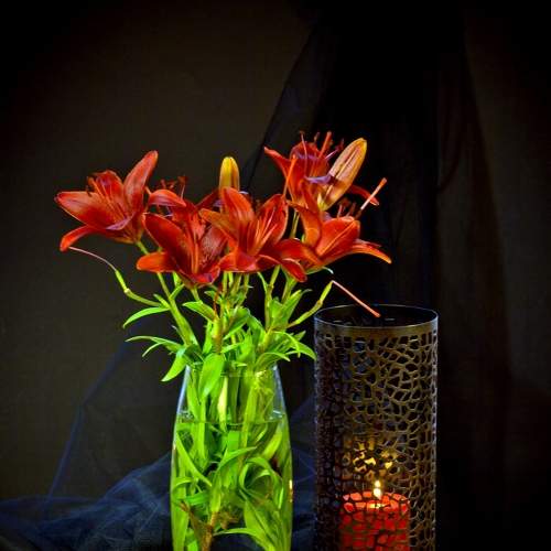 Photo #8264342