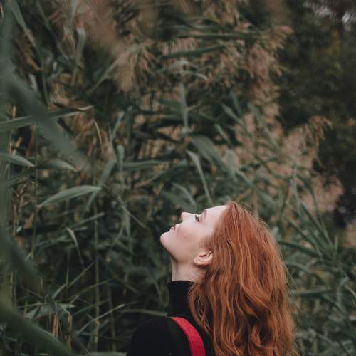 Photo #8264344