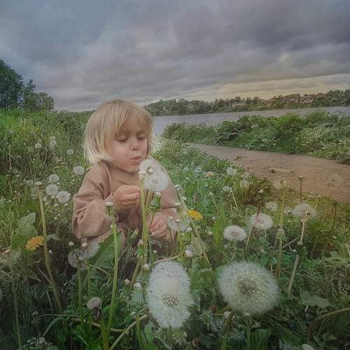 Photo #8264488