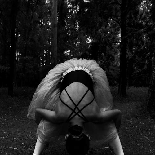 Photo #8264548