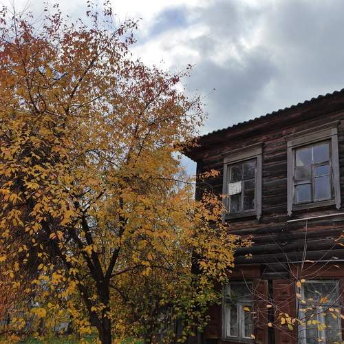 Photo #8264636