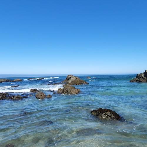 Photo #8264718