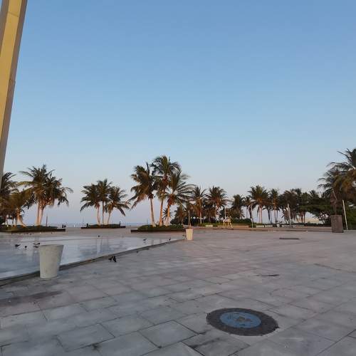 Photo #8264891