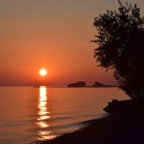 Photo #8265008
