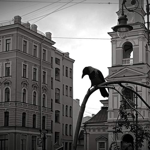 Photo #8265132