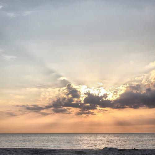 Photo #8265355
