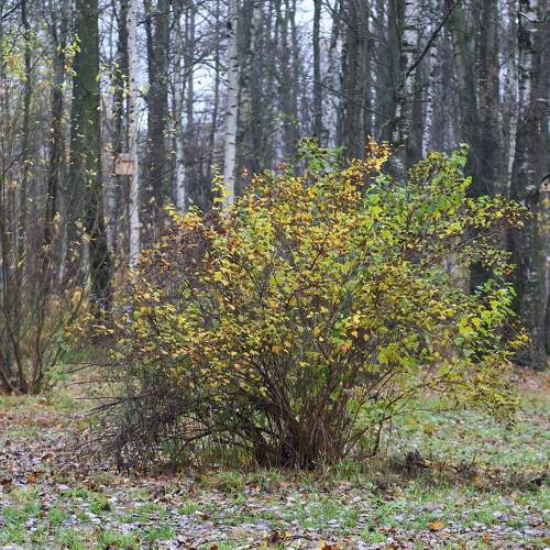 Photo #8266078