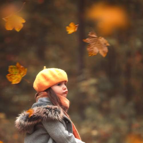 Photo #8266131