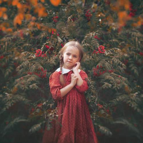 Photo #8266136