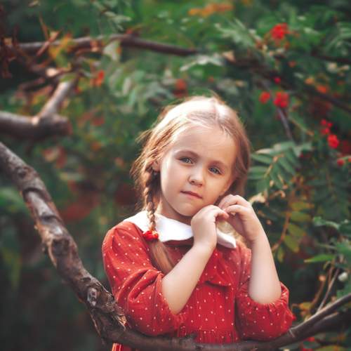 Photo #8266173