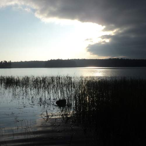 Photo #8266202