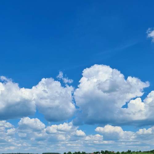 Photo #8266903