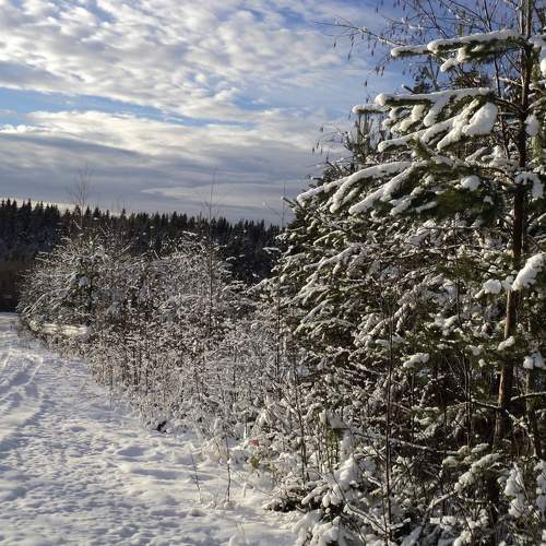 Photo #8267116