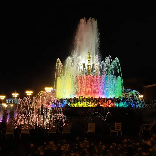 Photo #8267198