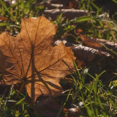 Photo #8268268