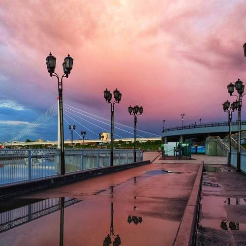 Photo #8268305
