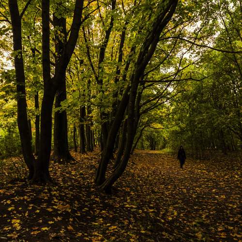 Photo #8268324