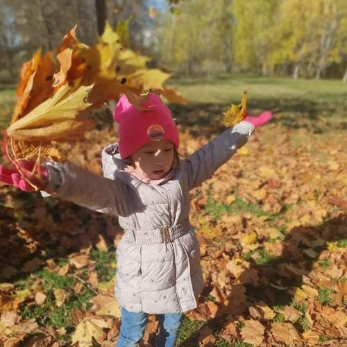 Photo #8268576
