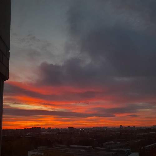 Photo #8269024