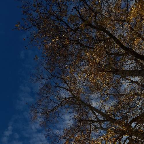 Photo #8269040