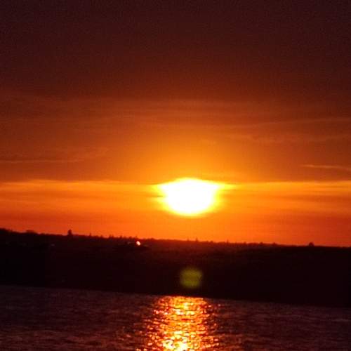 Photo #8270082