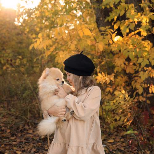 Photo #8270222