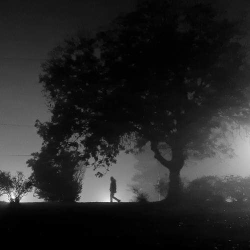 Фотография #8270245