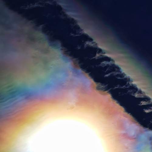 Photo #8270276